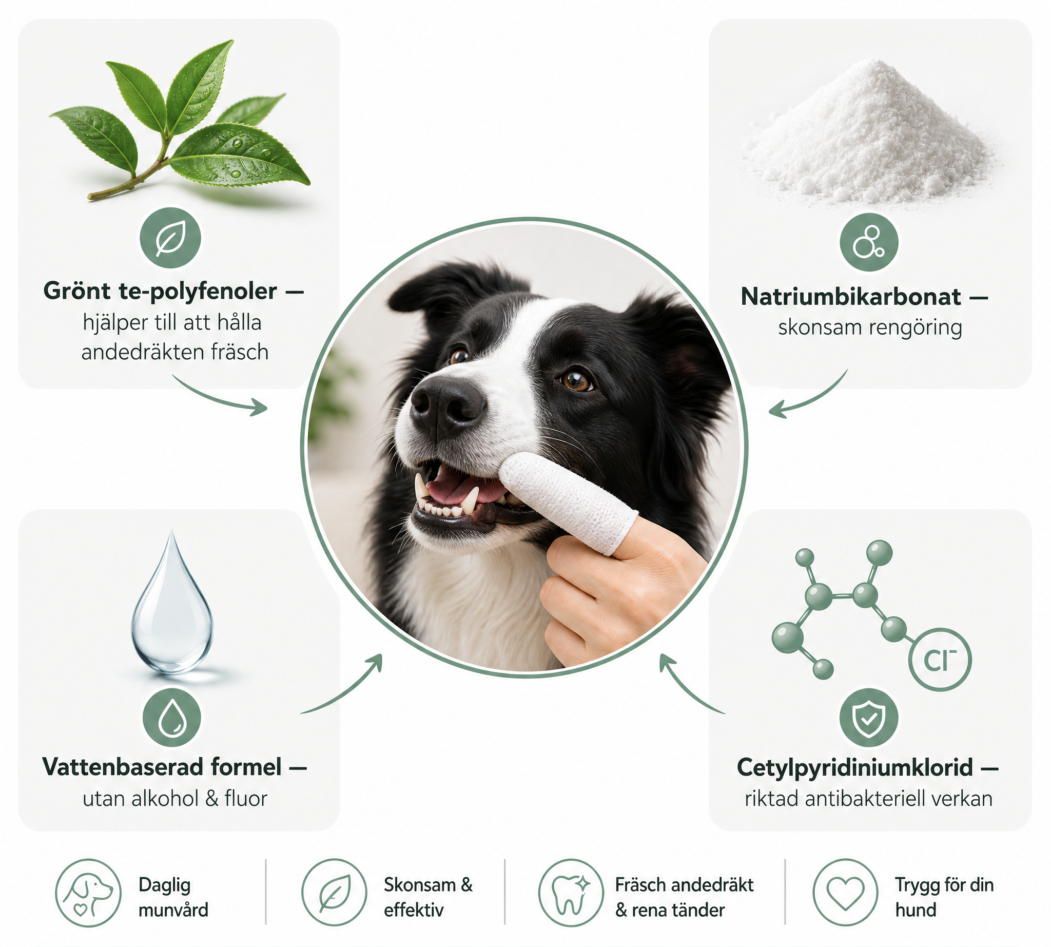 ProCare – tandservetter
